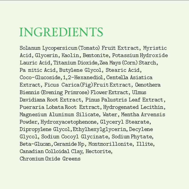 [FULLY Official Shop] Green Tomato Clay Mask Cleanser Pore Purifying with 49% Green Tomato Extract Sebum & Clogged Pore Care Exfoliation 4.05 Fl.Oz